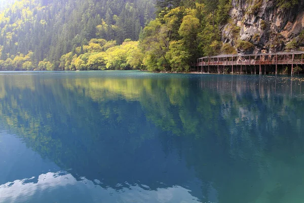 Sichuan Jiuzhaigou Rizegou Panda Sea — стокове фото