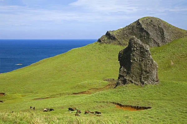 Taitung Green Island Niutoushan Grasland — Stockfoto