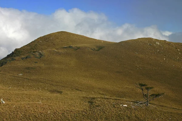 Pohled Dashuiku Grassland Taiwan — Stock fotografie