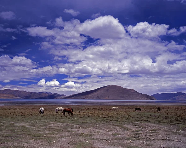 Tibet Yamdrok Uitzicht Het Meer — Stockfoto