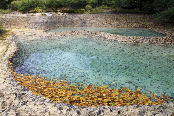 四川九寨溝不滅の池蓮のテラスカラー池 — ストック写真