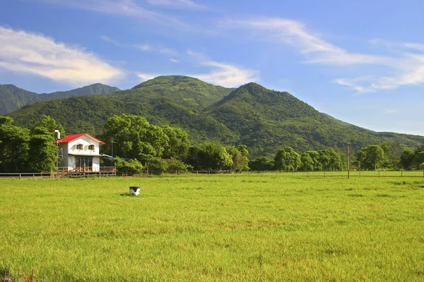 Taiwan Hualien Ruisui Weideland — Stockfoto