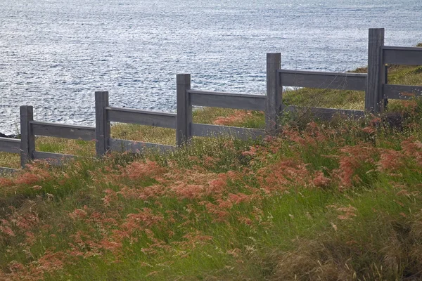 Ταϊβάν Penghu Qimei South Landau Coast — Φωτογραφία Αρχείου