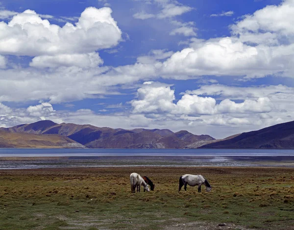 Tibet Yamdrok Lake View — Stock Photo, Image