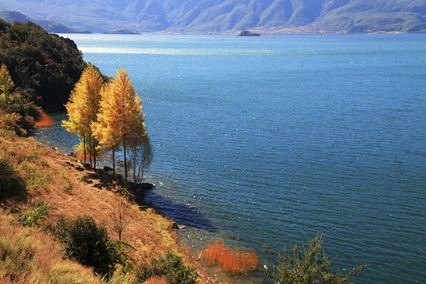 Yunnan Lijiang Ninglang Lugu Λίμνη Φθινόπωρο Τοπίο — Φωτογραφία Αρχείου