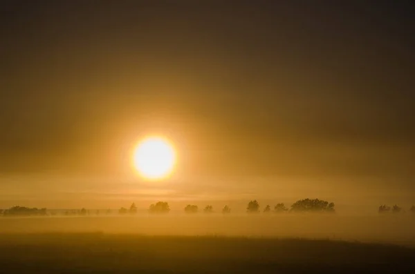 Disco Amarelo Sol Que Nasce Névoa Manhã Adiantada Áreas Rurais — Fotografia de Stock