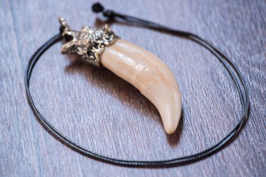 Sibirya geyik kahverengi bir arka plan üzerinde gelen büyük ayı diş ve kemik kolye oyulmuş