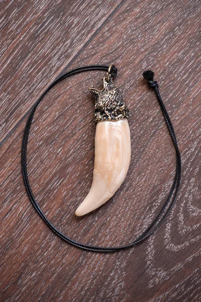 Sibirya geyik kahverengi bir arka plan üzerinde gelen büyük ayı diş ve kemik kolye oyulmuş