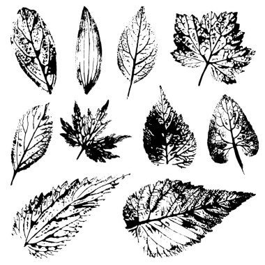 Birtakım baskılar ve gerçek yapraklarından ağaçlar ve çiçekler pulları