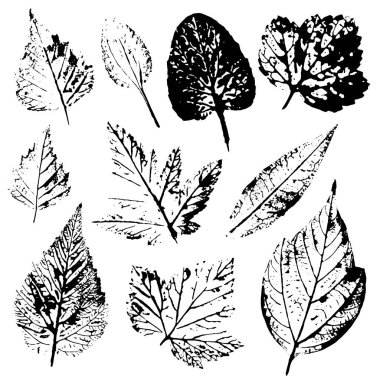 Birtakım baskılar ve gerçek yapraklarından ağaçlar ve çiçekler pulları