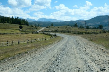 Yaban hayatı Altay. Yol, dağlar ve mavi gökyüzü bulutlu yaz aylarında