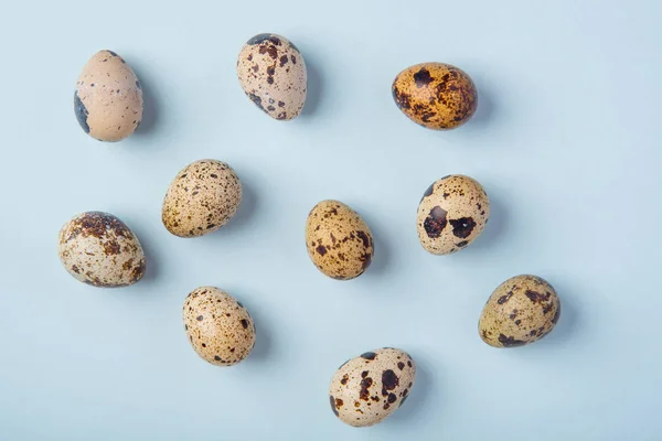 Красиві Плямисті Свіжі Перепелині Яйця Ніжно Блакитному Фоні Паперу — стокове фото