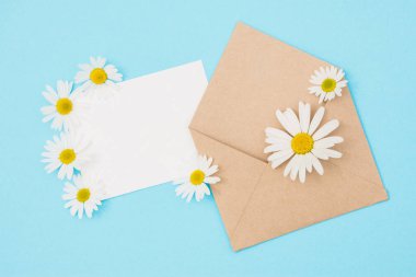 Zarf Kraft kağıt mavi bir arka plan üzerinde güzel beyaz papatya çiçekler ile boş bir ileti ile gelen