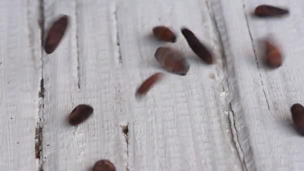 Deliciosos Grãos Cacau Torrados Castanhos Aromáticos Uma Mesa Madeira Branca — Vídeo de Stock