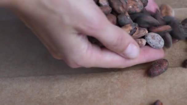 Deliciosos Granos Cacao Tostados Color Marrón Aromático Sobre Una Mesa — Vídeo de stock
