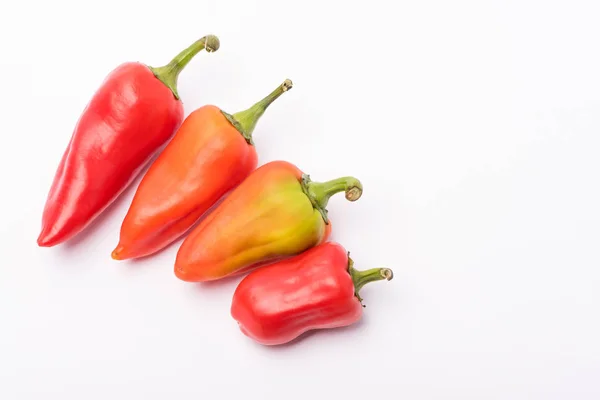 Vários Belos Pimentos Doces Quentes Maduros Vermelho Laranja Fundo Branco — Fotografia de Stock