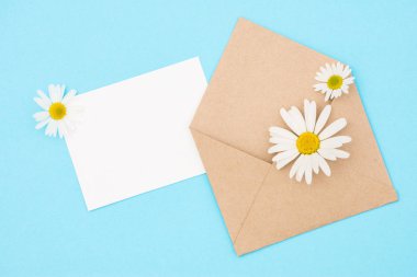 Zarf Kraft kağıt mavi bir arka plan üzerinde güzel beyaz papatya çiçekler ile boş bir ileti ile gelen