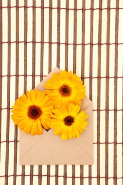 Zarf kraft kağıt güzel beyaz ve turuncu papatya çiçekleri ile boş bir ileti ile