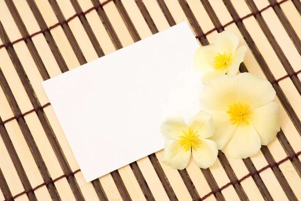 Sobres Papel Kraft Con Mensaje Blanco Con Hermosas Flores Amarillas — Foto de Stock