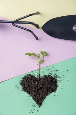 Domates Bahçe sezonu için bir arka plan pastel renklerde toprağa Filiz