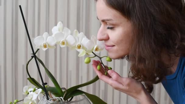 Красива Брюнетка Дівчина Дивиться Білі Квіти Орхідей Торкається Вдихає Запах — стокове відео