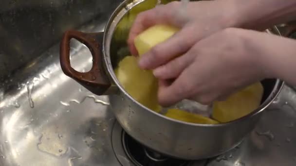 Las Manos Lavan Las Patatas Peladas Cacerola Agua Fregadero Metálico — Vídeos de Stock