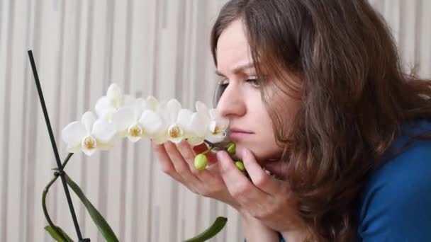 Menina Morena Bonita Olha Para Flores Brancas Orquídea Toca Neles — Vídeo de Stock