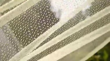 Yaz aylarında yeşil bir bahçenin zeminine karşı rüzgarda güzel şeffaf ince perde hamle