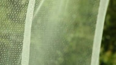 Yaz aylarında yeşil bir bahçenin zeminine karşı rüzgarda güzel şeffaf ince perde hamle