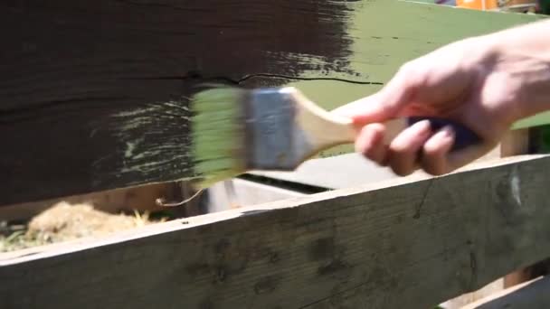 Kobiece Ręcznie Malarstwo Brudny Drewniany Płot Zieleni Ogrodzie Lecie — Wideo stockowe