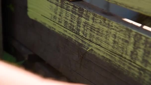 女性の手の絵画夏には庭の緑に汚れた木製のフェンス — ストック動画