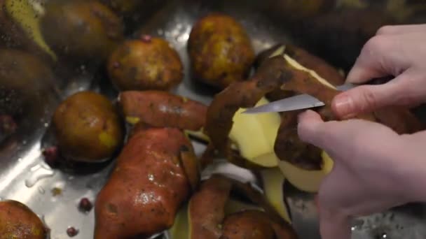 Handen Schil Rijpe Aardappelen Een Metalen Spoelbak Thuis Dan Onder — Stockvideo