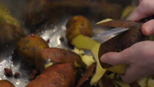 Peler Les Pommes Terre Mûres Dans Évier Métallique Maison Puis — Video