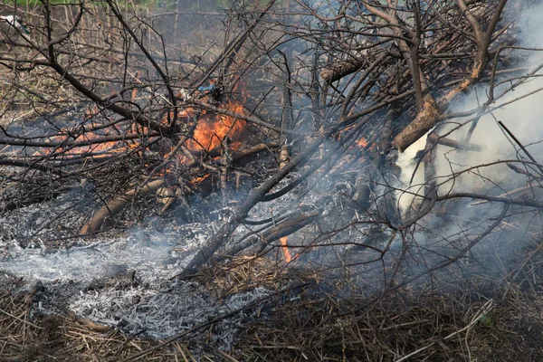 Een stapel van takken van bomen brandt in de tuin in het voorjaar — Stockfoto