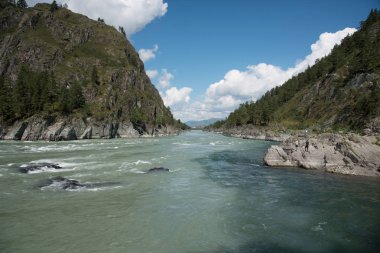 Vahşi yaşam Altai. Dağların arasında güzel Katun nehri.