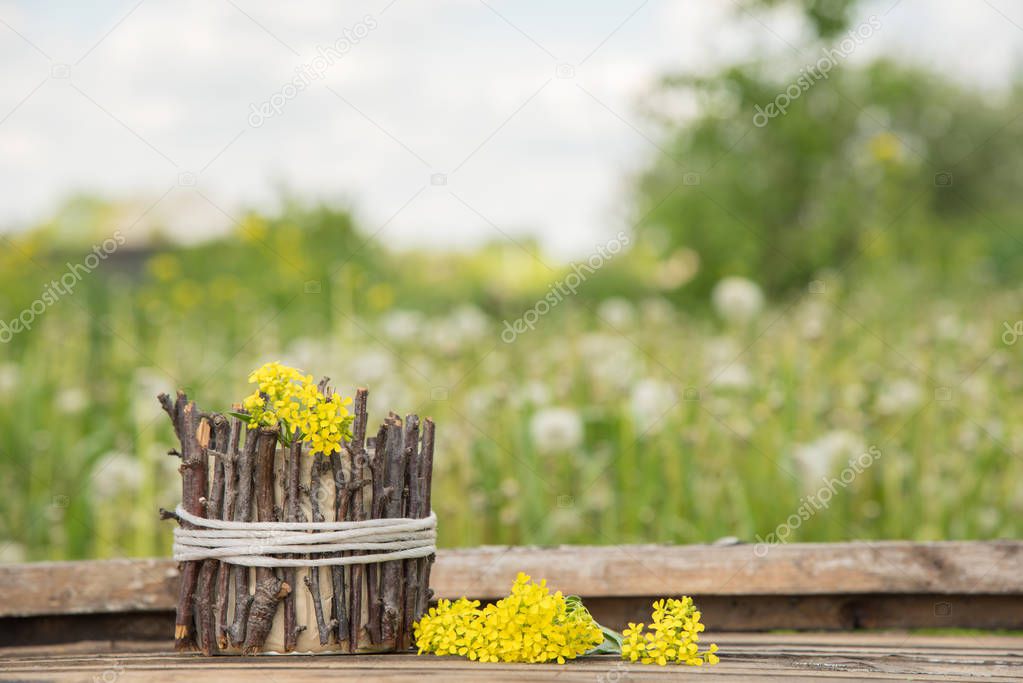 A bouquet of beautiful little yellow blossoming flowers called r