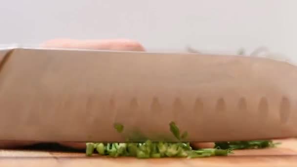 女性双手在木板上用金属刀切沙拉 — 图库视频影像