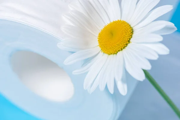 Papel higiénico perforado blanco con el aroma y la margarita en un azul — Foto de Stock