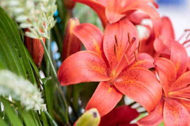 Taze kırmızı zambak ve yeşil yaprakları güzel düğün buketi