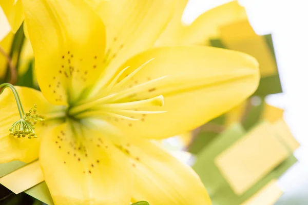Красивая жёлтая лилия крупным планом свадебного букета — стоковое фото