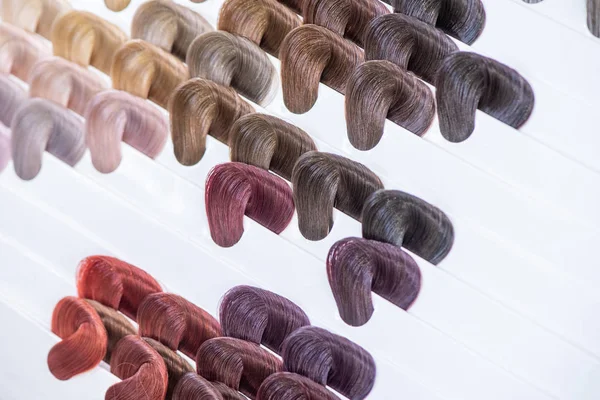Hair color chart. Palette of dyed shiny hair samples. Catalog fo