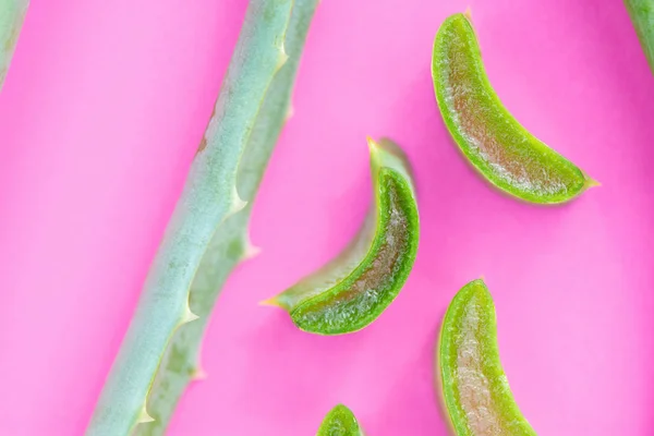 Лекарственное растение алоэ вера на розовом фоне — стоковое фото