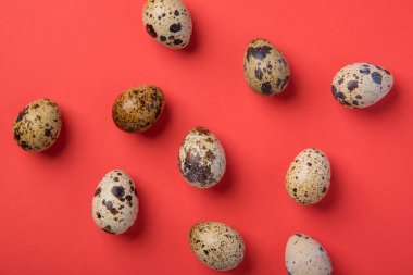 Bir kırmızı kağıt arka plan üzerinde güzel benekli taze Bıldırcın yumurta