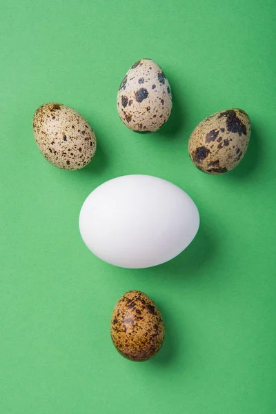 Красиві плямисті свіжі перепелині та курячі яйця на зеленому папері — стокове фото