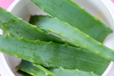 Pembe bir arka plan üzerinde cam bir kavanozda Şifalı bitki aloe vera