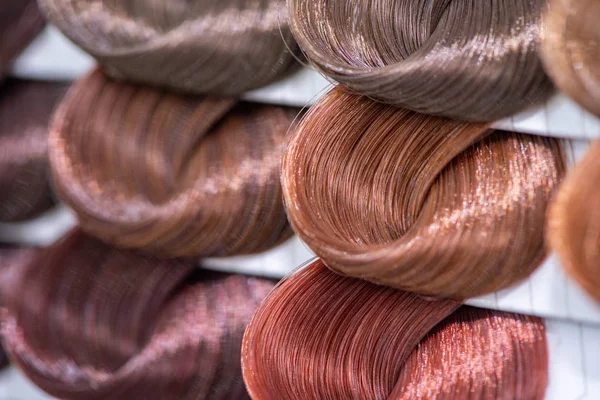 Hair color chart. Palette of dyed shiny hair samples. Catalog fo