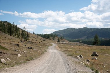 Yaban hayatı Altay. Yol, dağlar ve gökyüzü summe bulutlarda ile