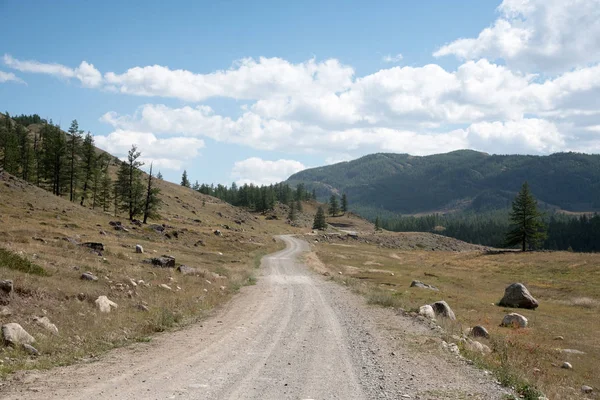 Yaban hayatı Altay. Yol, dağlar ve gökyüzü summe bulutlarda ile
