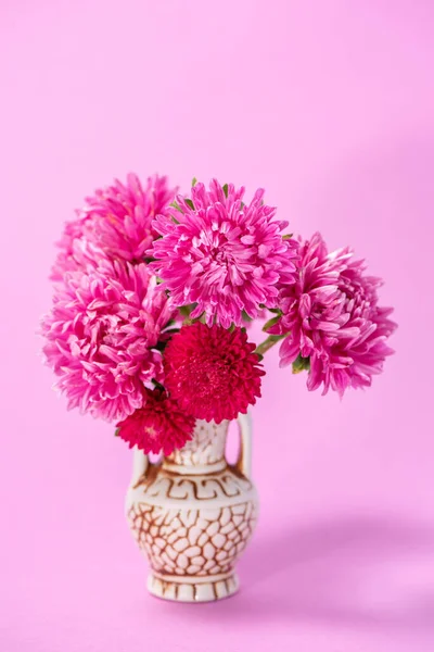 Beautiful bouquet of red flowers called asters in a ceramic jug on a pink background