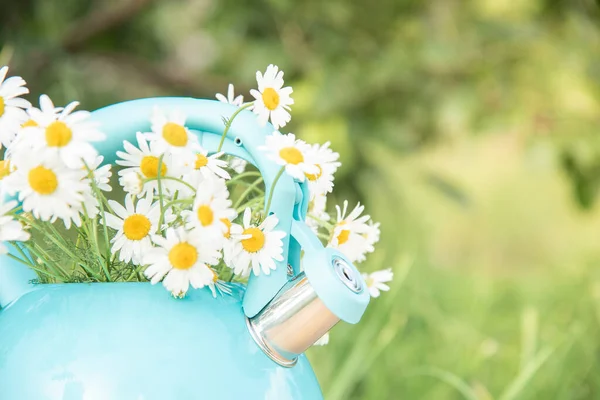 Schönes Sommerliches Stillleben Blaue Teekanne Mit Einem Strauß Frischer Weißer — Stockfoto